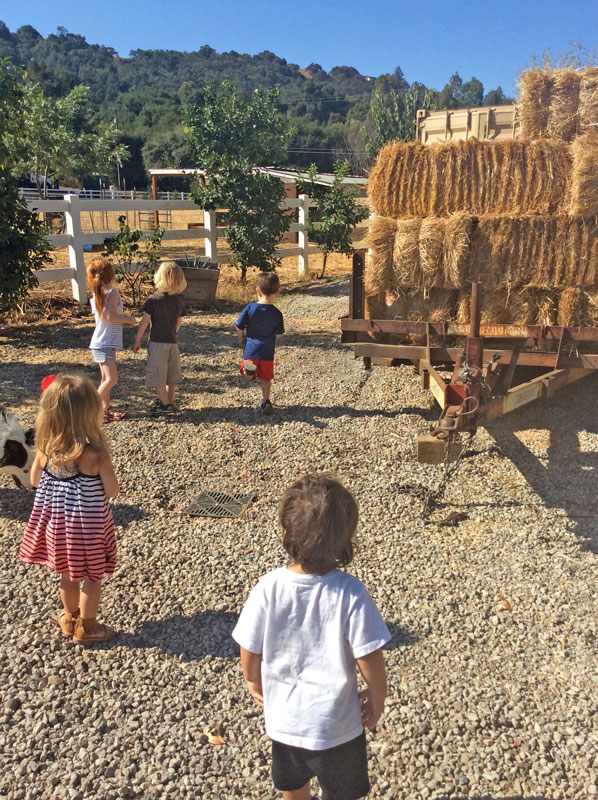 janas-daycare_farm-kids